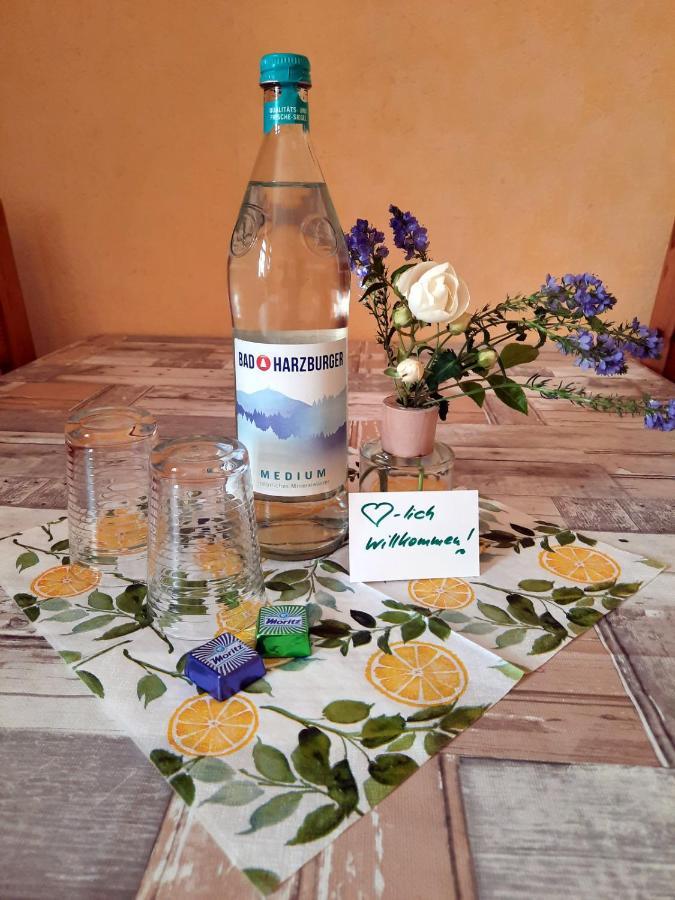 Lützen Ferienwohnung Zur Alten Post מראה חיצוני תמונה